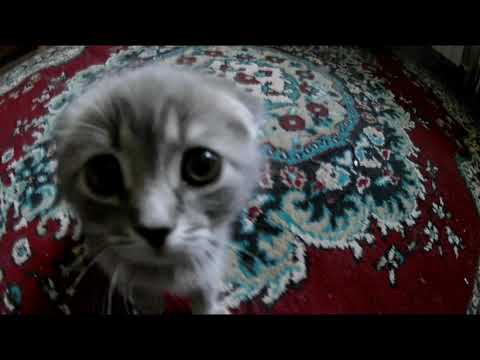 Пацаны назвали Мусей. смотреть онлайн