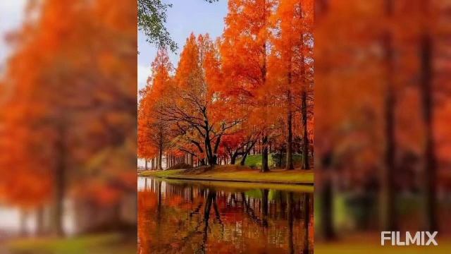 Волшебные краски осени смотреть онлайн