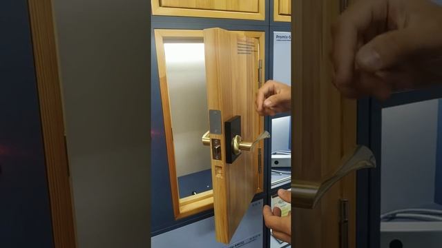 Promix-SM503 Электромеханический замок для дверной ручки с бесконтактной передачей энергии