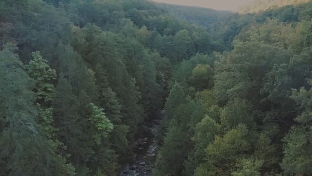 - Вот моя мама всегда нам помогает, а вы для себя живёте, - решила меня пристыдить невестка смотреть онлайн