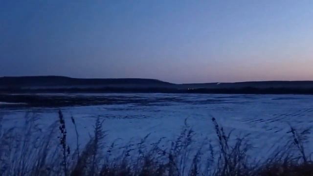 Охотнадзор Центр Амурский Тигр смотреть онлайн