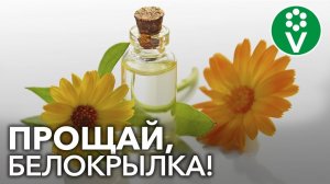 МОЛОКО+КАЛЕНДУЛА = УБОЙНОЕ средство от белокрылки!