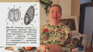 Эксперимент, который все доказал про всхожесть семян перца