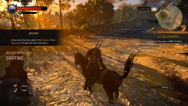 The Witcher 3 Gameplay Max Settings Nvidia GTX 670 1080p смотреть онлайн