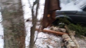 Застряла Нива 4×4 2131.Крокодил в Мещере. В поисках шушмора.