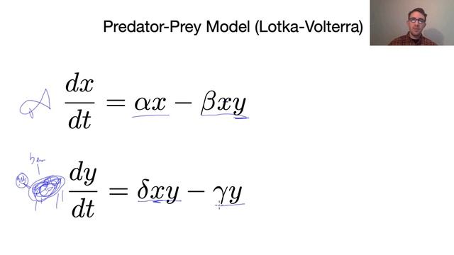 Predator-Prey Model (Lotka-Volterra) Overview and Steady States смотреть онлайн