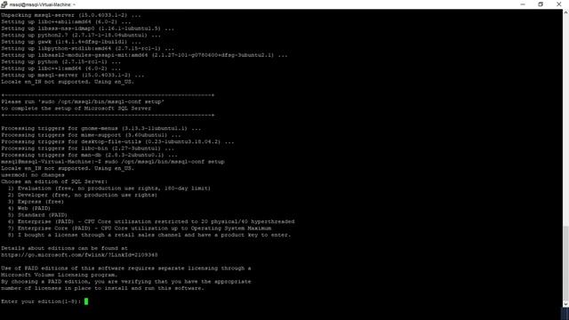 Microsoft SQL Server 2019 Installation on Ubuntu 18.04 LTS Step by Step #Ubuntu #MSSQL #SQL смотреть онлайн