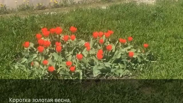 Весной смотреть онлайн