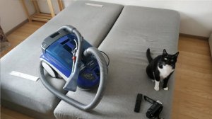 Как почистить диван моющим пылесосом