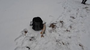 Зимний спиннинг на Москва реке. Шесть щук за 20 минут