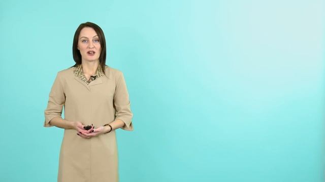 05. Времена группы Perfect Continuous. English — Basic course (Perm State University) смотреть онлайн