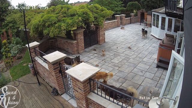 Hikvision 5MP Turret Camera Example Footage (DS-2CD2355FWD-I)