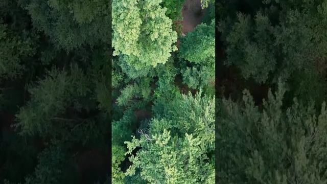 Kulmbach Germany смотреть онлайн