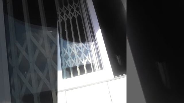 chiken liken Fly through смотреть онлайн