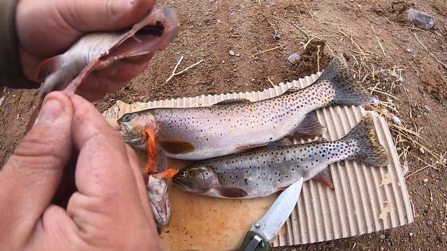 Creek Side Cutthroat Trout Catch n' Cook! смотреть онлайн