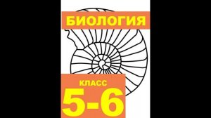 § 4 Живая природа: классификация организмов