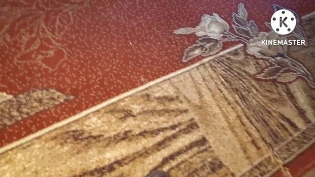 Як збільшити шкіряне взуття на один розмір? Тісне взуття? Вихід є. смотреть онлайн