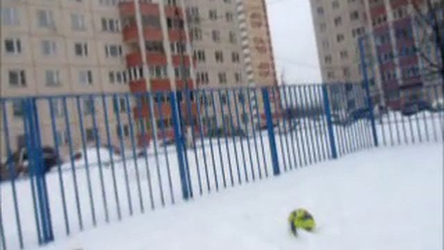 Шандриков В. Вот я и снова стою на пороге. Возвращение. 2.mp4 смотреть онлайн