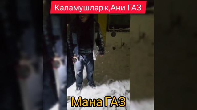 Тошкент вилоятида МЧЖ 5 мингга яқин хонадонга бир кунга етадиган газни ўғирлади #проблемы #газ смотреть онлайн