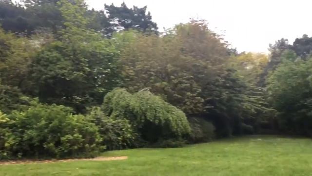 Оказывается нужно просто посмотреть вокруг..😝