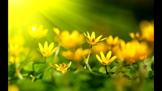 Практика Фрэнка Кинслоу Как преодолеть физическую боль смотреть онлайн