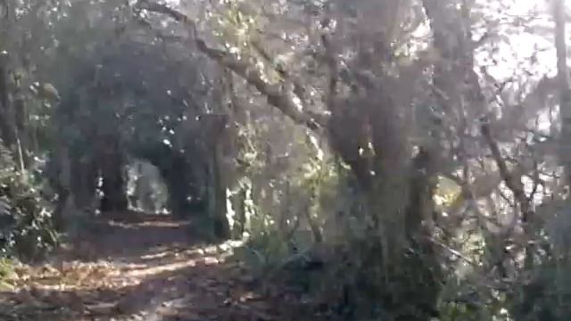 Прогулка по Эксетеру смотреть онлайн