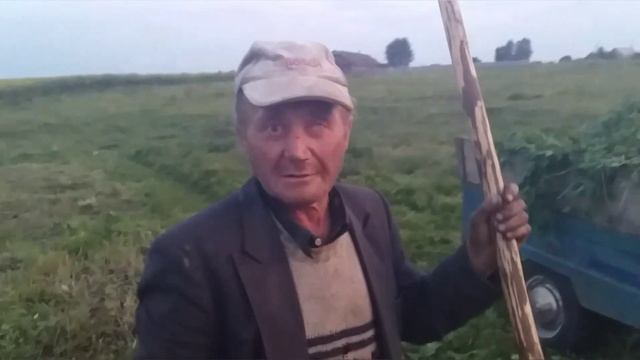 Сенокос смотреть онлайн