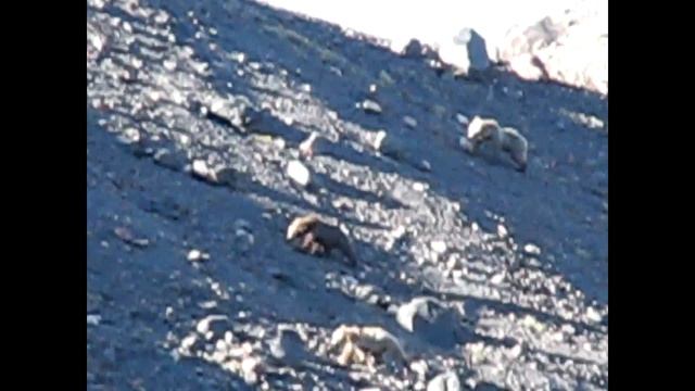 Поход по Приэльбрусью 2017 смотреть онлайн