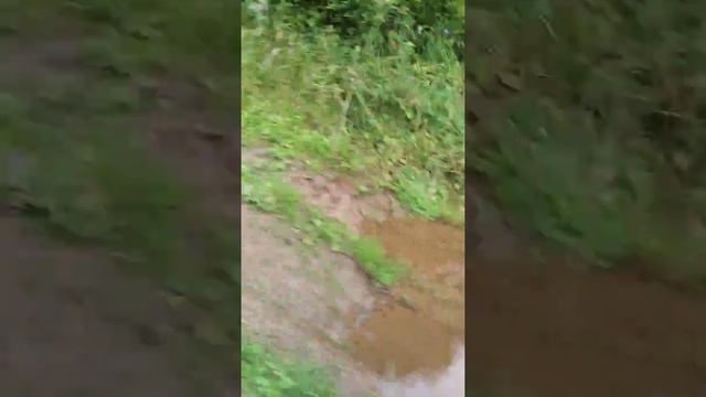 Покатушки но грязи на великах смотреть онлайн