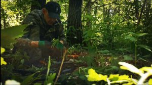 #Коп на битом урочище#Minelab X-terra Pro #ПРИМОРСКИЙ КРАЙ #