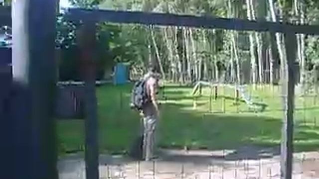 27 08 11 стаффордширский бультерьер Джесси ОКД смотреть онлайн