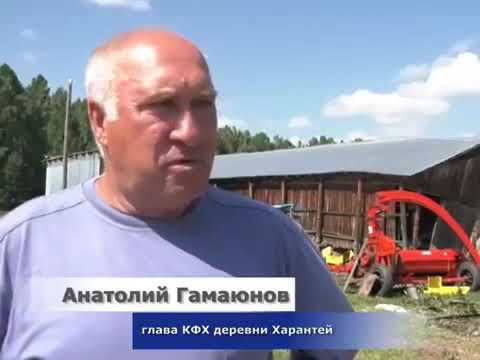 Новости (Тулунское телевидение, 19.07.2019) смотреть онлайн