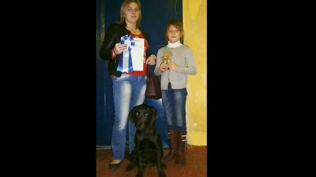 Пати Фо Эврибади Дэнс смотреть онлайн