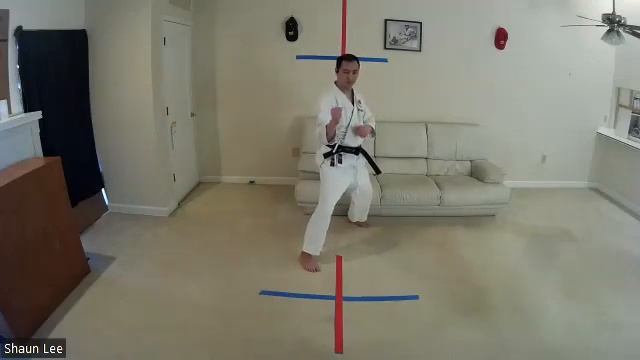 Tekki Shodan Kosa Dachi смотреть онлайн