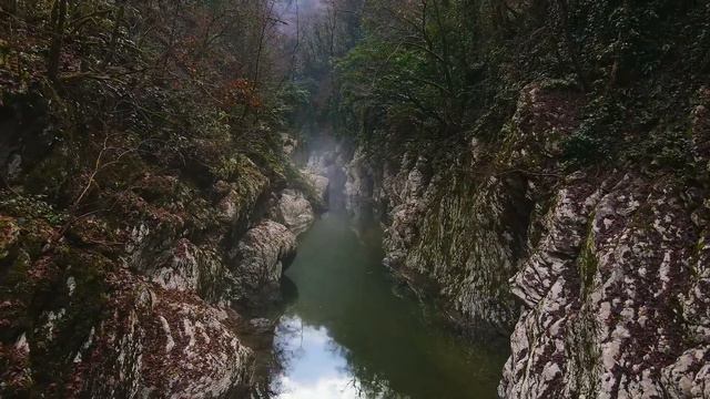 Dan Gibson’s Solitudes - By the Misty River | O2: A Solitudes Ambient Experience смотреть онлайн