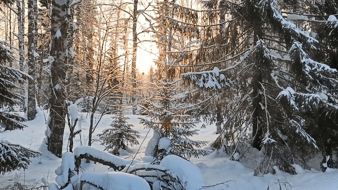 Искал глухарей, а нашёл капалух! Рыбаки ловили хариуса. 5 серия. /Поход 25 - 27 февраля 2023/ смотреть онлайн
