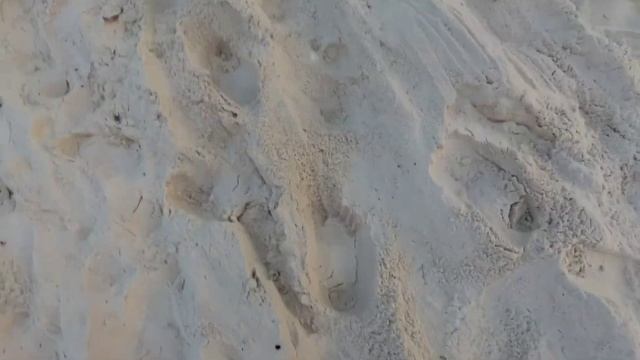 Босиком по джунглям и качание на лианах смотреть онлайн