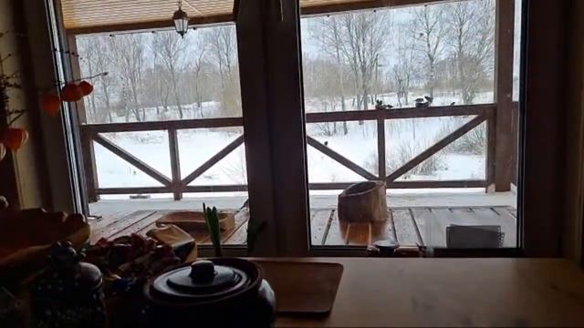 Стрим из весенней зимы смотреть онлайн