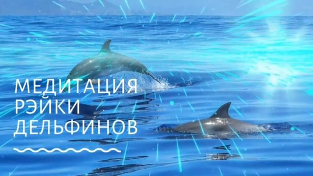 Медитация с Рэйки Дельфинов смотреть онлайн