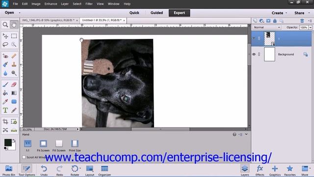 Adobe Photoshop Elements 12 Tutorial Basic Image Manipulation Employee Group Training 4.6 смотреть онлайн