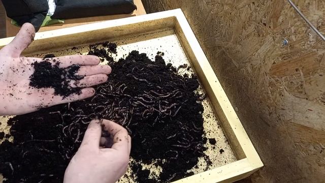 Денробена от Михаила Сосновского! смотреть онлайн