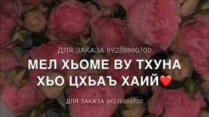 Дал декъал войла хьо пап,мар-да?