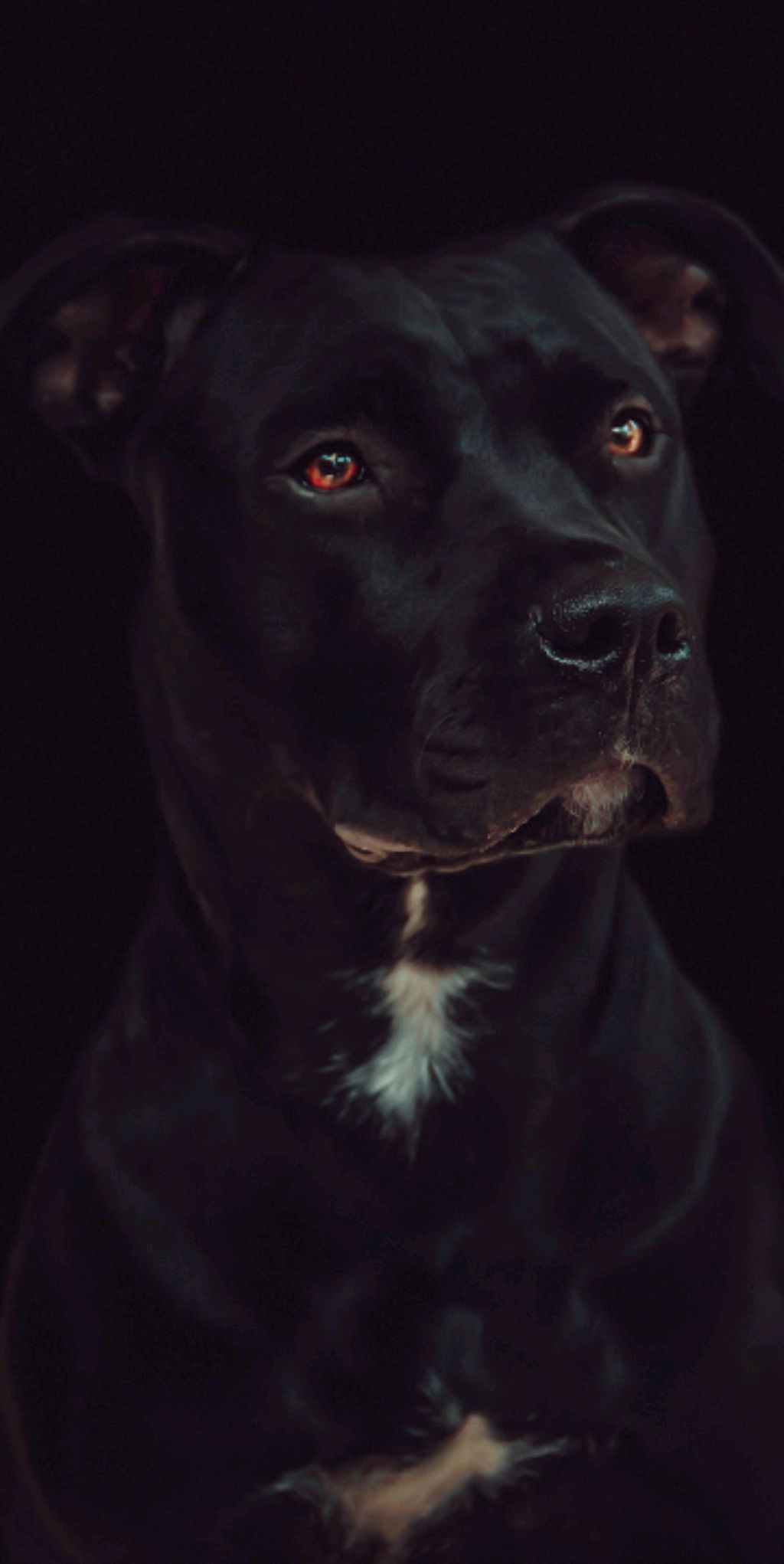 бандитка смотреть онлайн