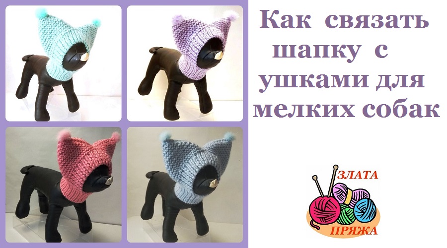 Вяжем вместе шапку с ушками для мелких собак смотреть онлайн