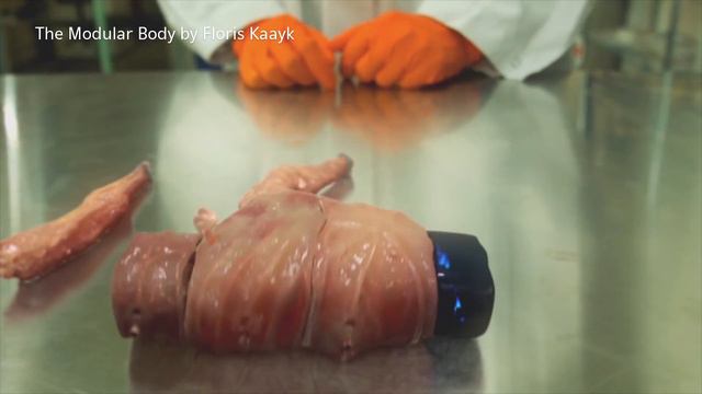About The Modular Body | Floris Kaayk | CLOT Magazine смотреть онлайн