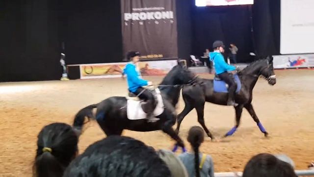 Русская верховая порода лошадей смотреть онлайн