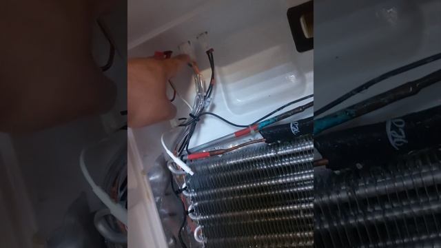 Frigorífico Hisense No Enfria