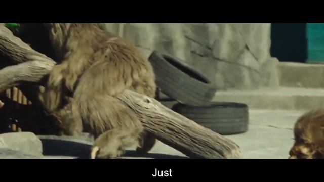 Jeon Yeo Been / Jeon Yeo Bin as Sloth in Secret Zoo (2020) [3x5] смотреть онлайн