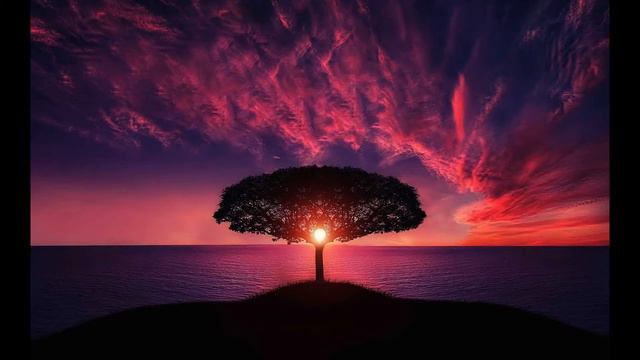 Surah Nahl Hazza Al Balushi Beautiful Recitation #quran #beautiful #reaction смотреть онлайн