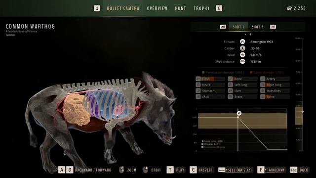Hunting dangerous animals on the NEW African map (Tikamoon Plains) | Way of the Hunter смотреть онлайн